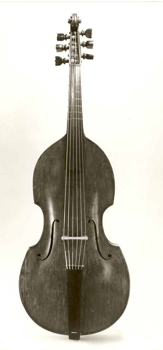 Kontrabaß in Violenform