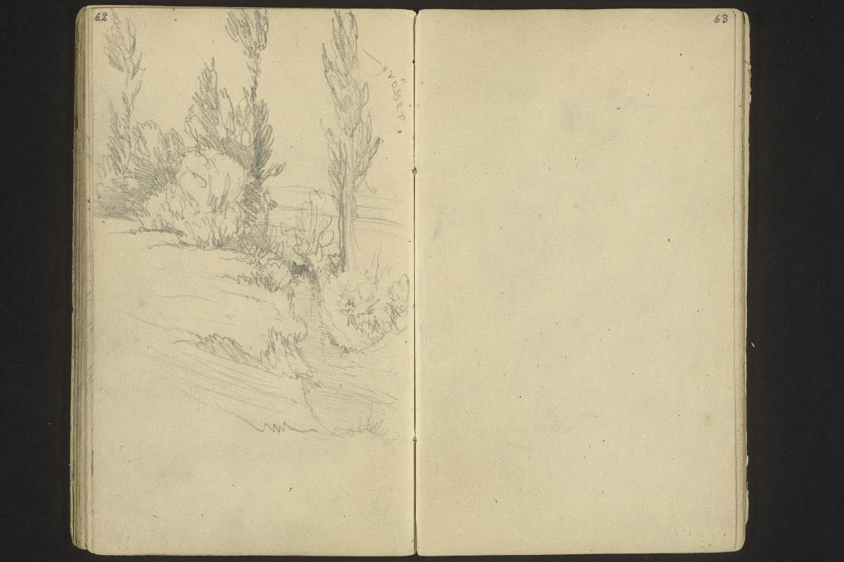 Landschaft mit Bäumen