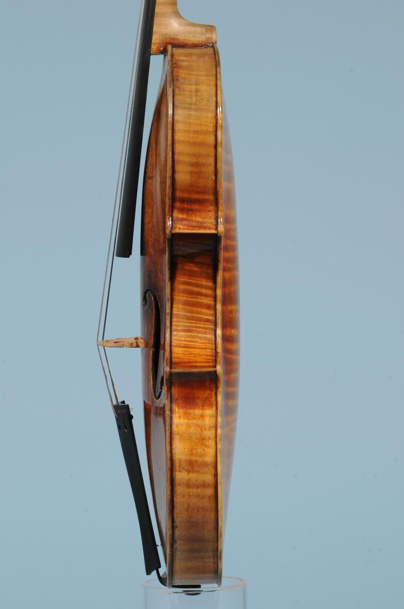Violine