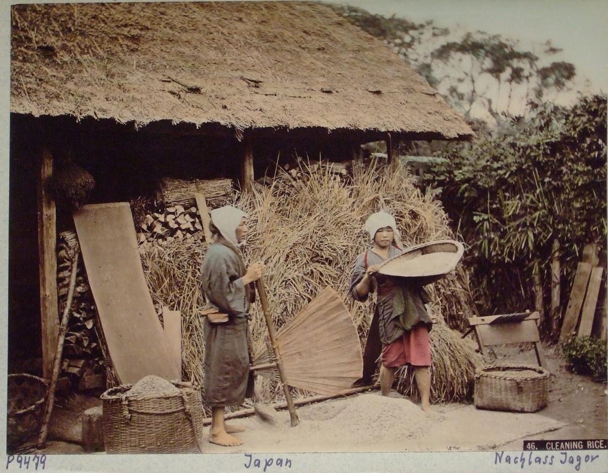 "Cleaning rice"