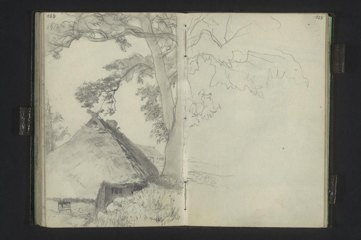 Reetgedecktes Haus unter großem Baum auf Rügen