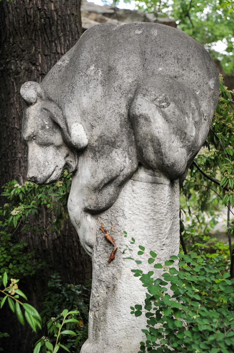 Kragenbär
