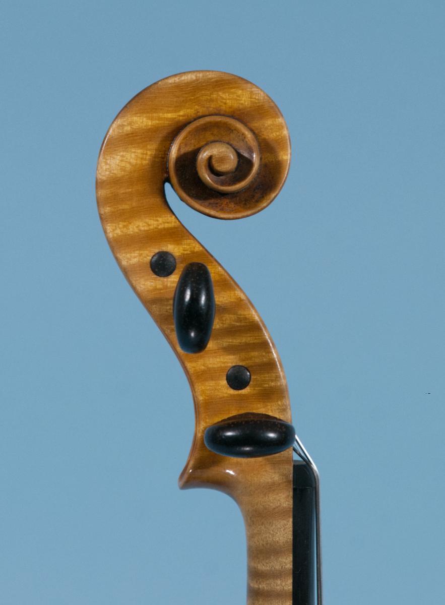 Violine