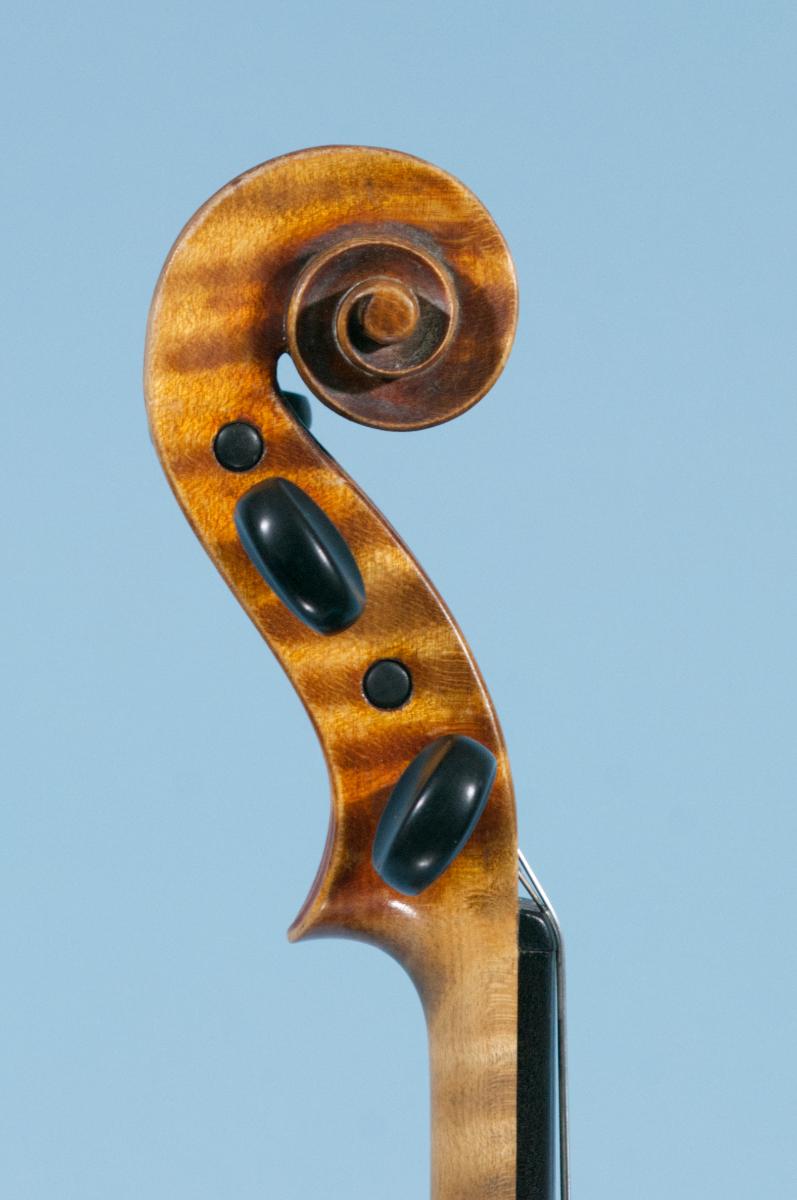 Violine