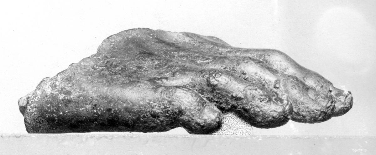 Vorderteil eines unterlebensgroßen rechten Fußes, großer Zeh fehlt (Fragment einer Bronzestatue)