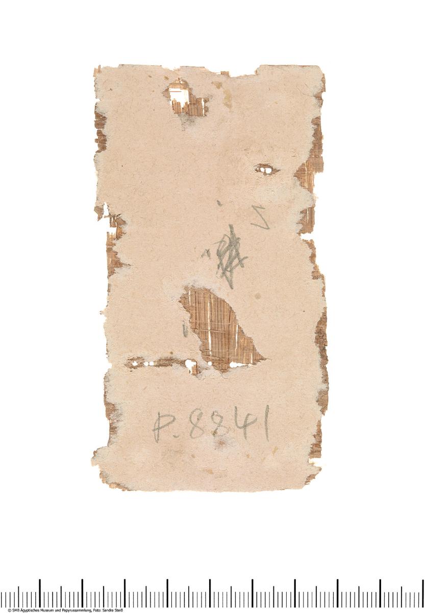 Pahlavi Papyrus mit einer Empfangsbescheinigung sowie einer griechischen Steuerquittung