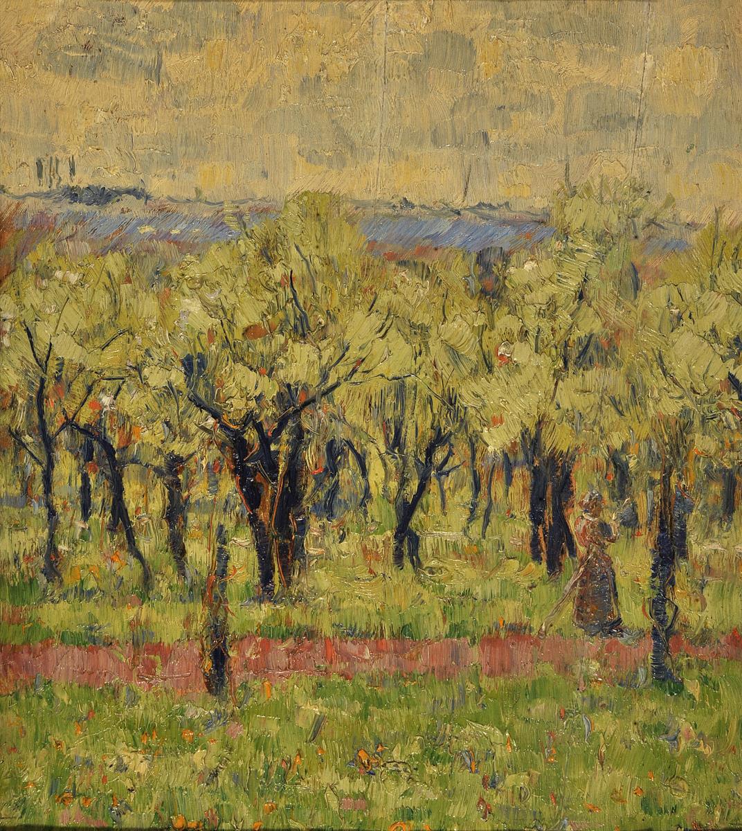 Blühende Obstplantage
