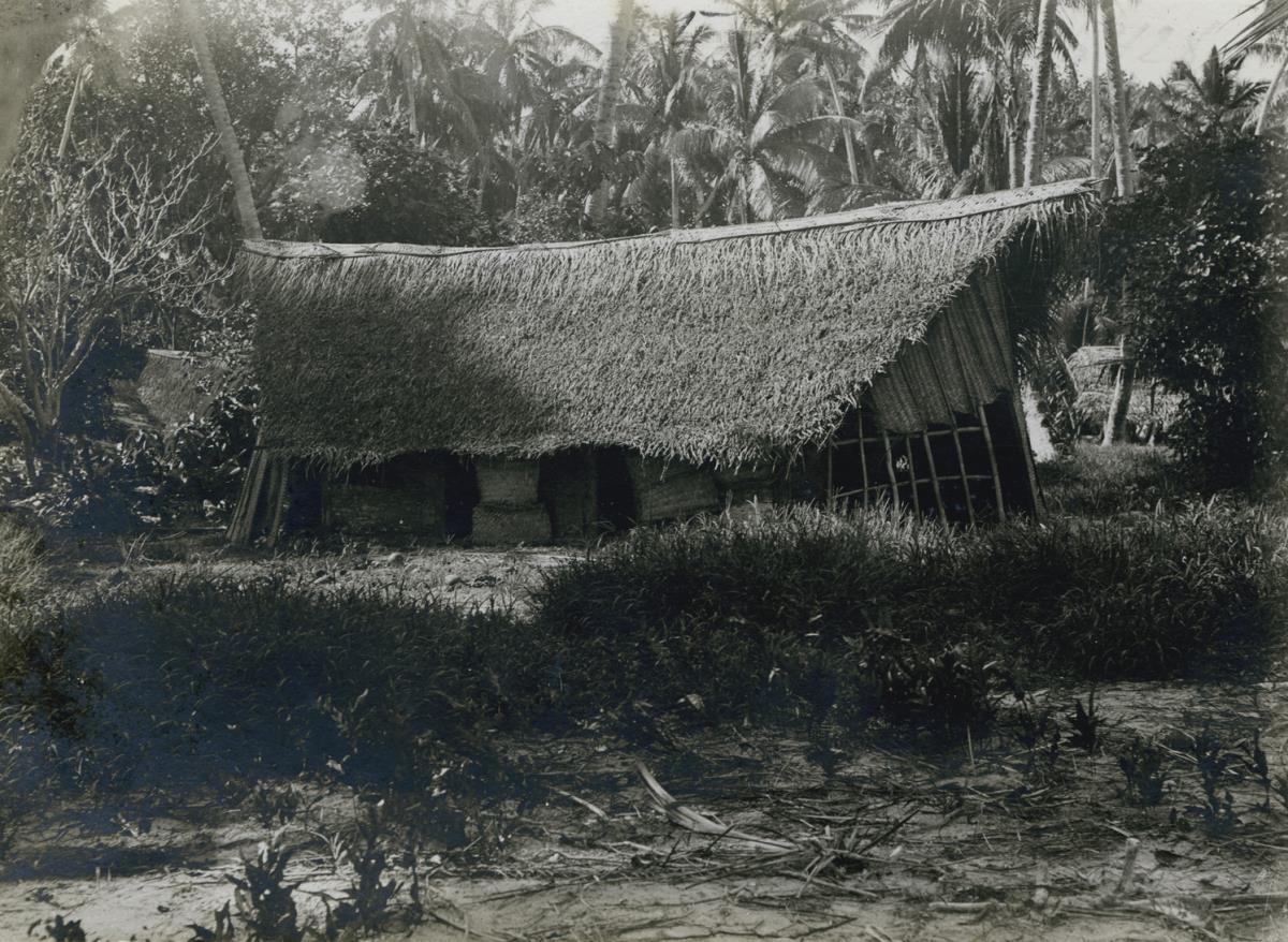 "Haus auf Pelau"