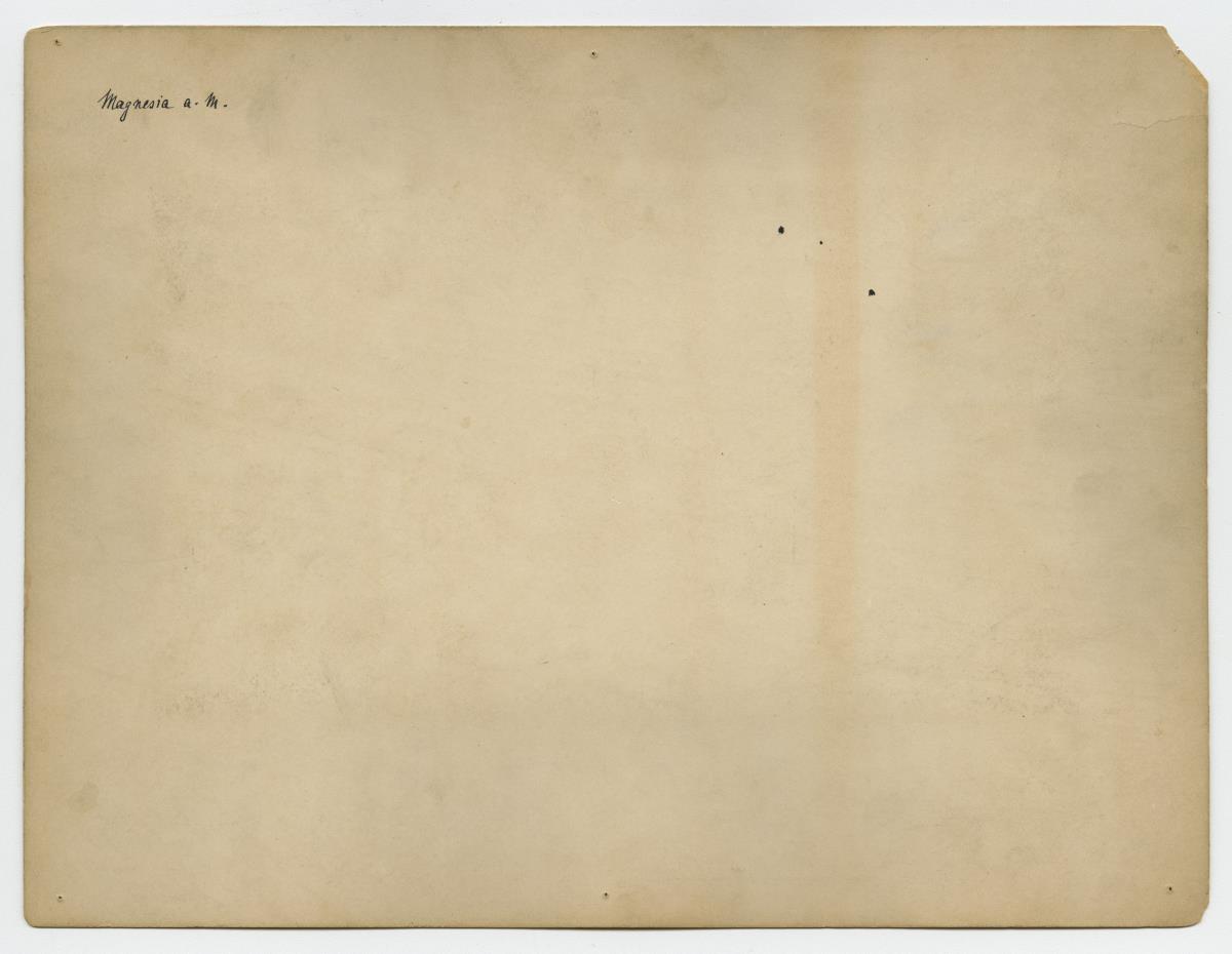 Magnesia am Mäander, Artemision, Antenkapitell