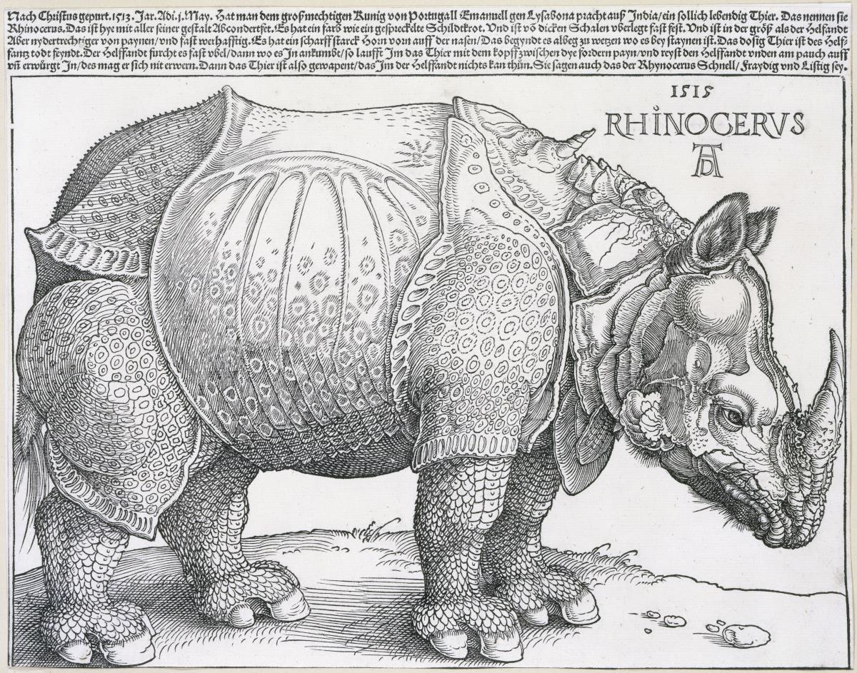 Das Rhinozeros