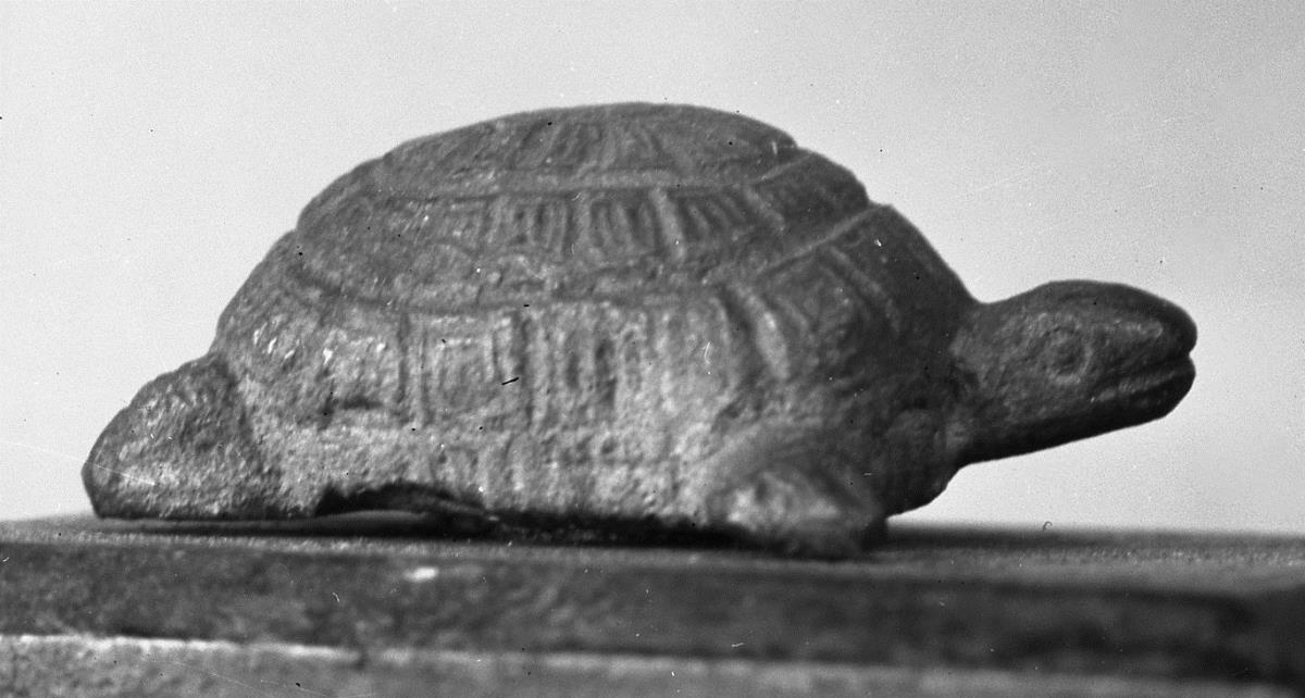 Schildkröte (modern)