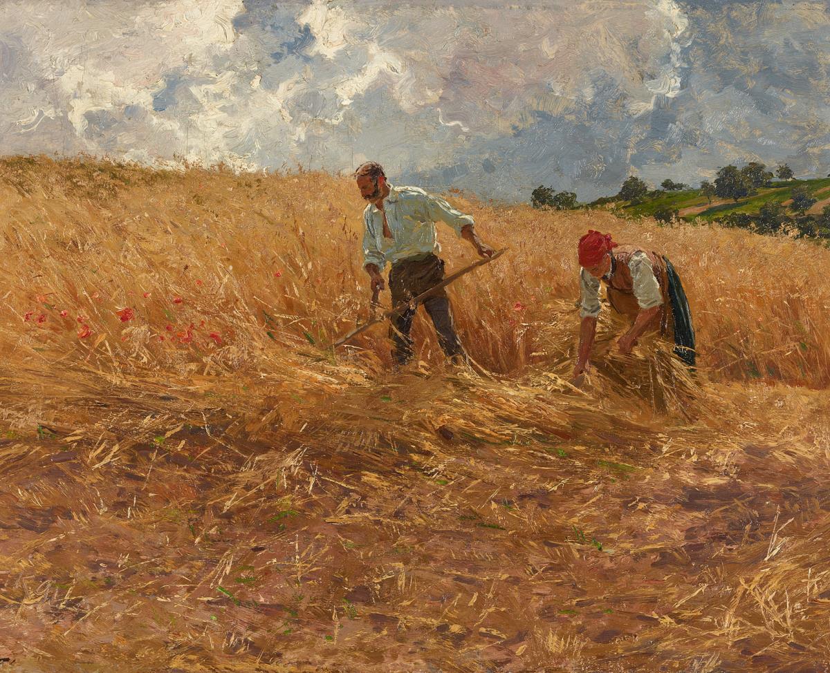 Erntezeit