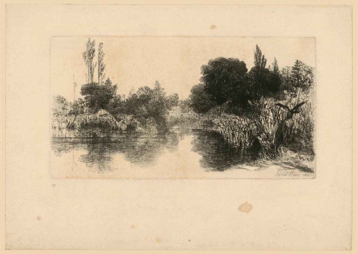 Park Landschaft mit Gewässer