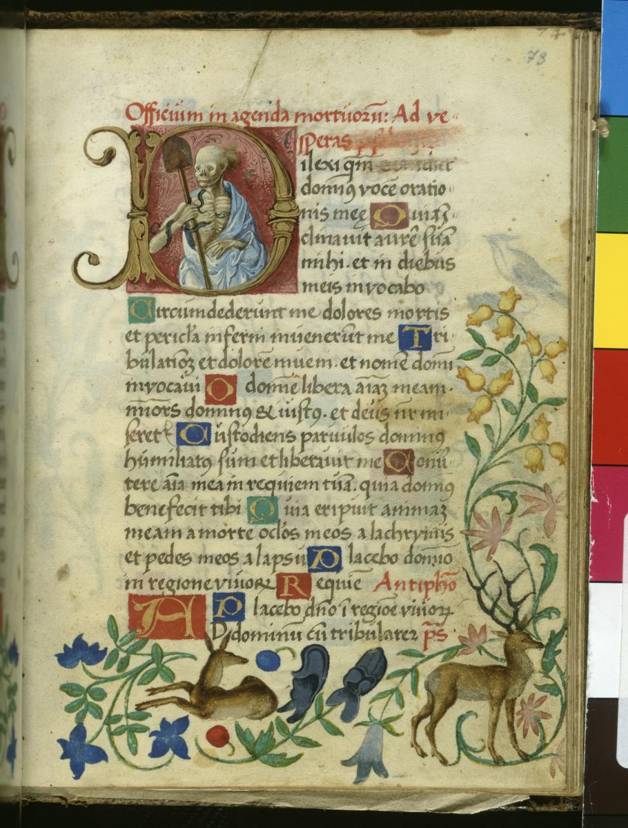 Initiale D(ilexi) mit Tod und Schaufel