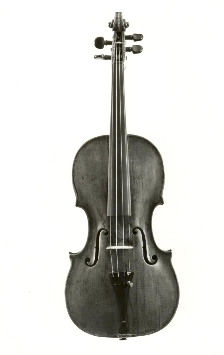Violine