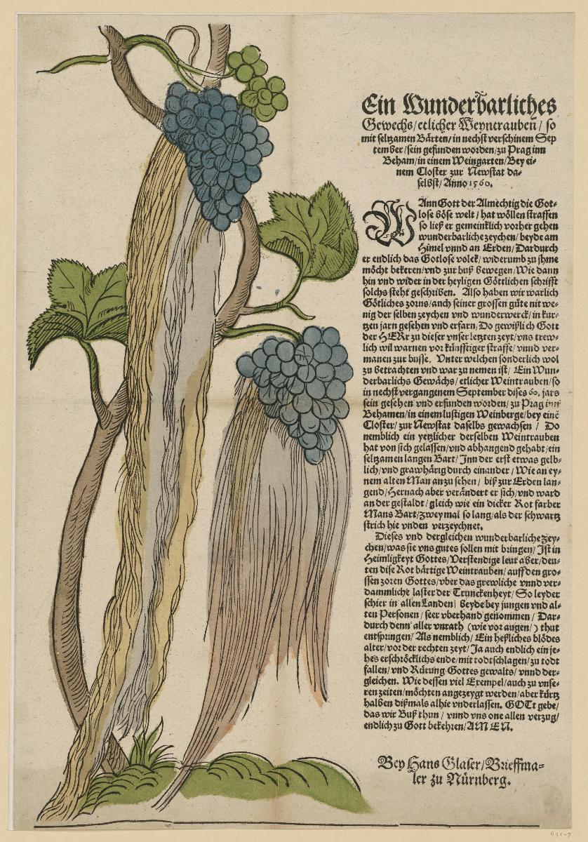 Ein Wunderbarliches Gewechs/ etlicher Weyntrauben/ so mit seltzamen Barten/ in nechst verschinem September/ sein gefunden worden/ zu Prag inn Beham/ in einem Weingarten/ Bey einem Closter zur Newstat daselbst/ Anno 1560.