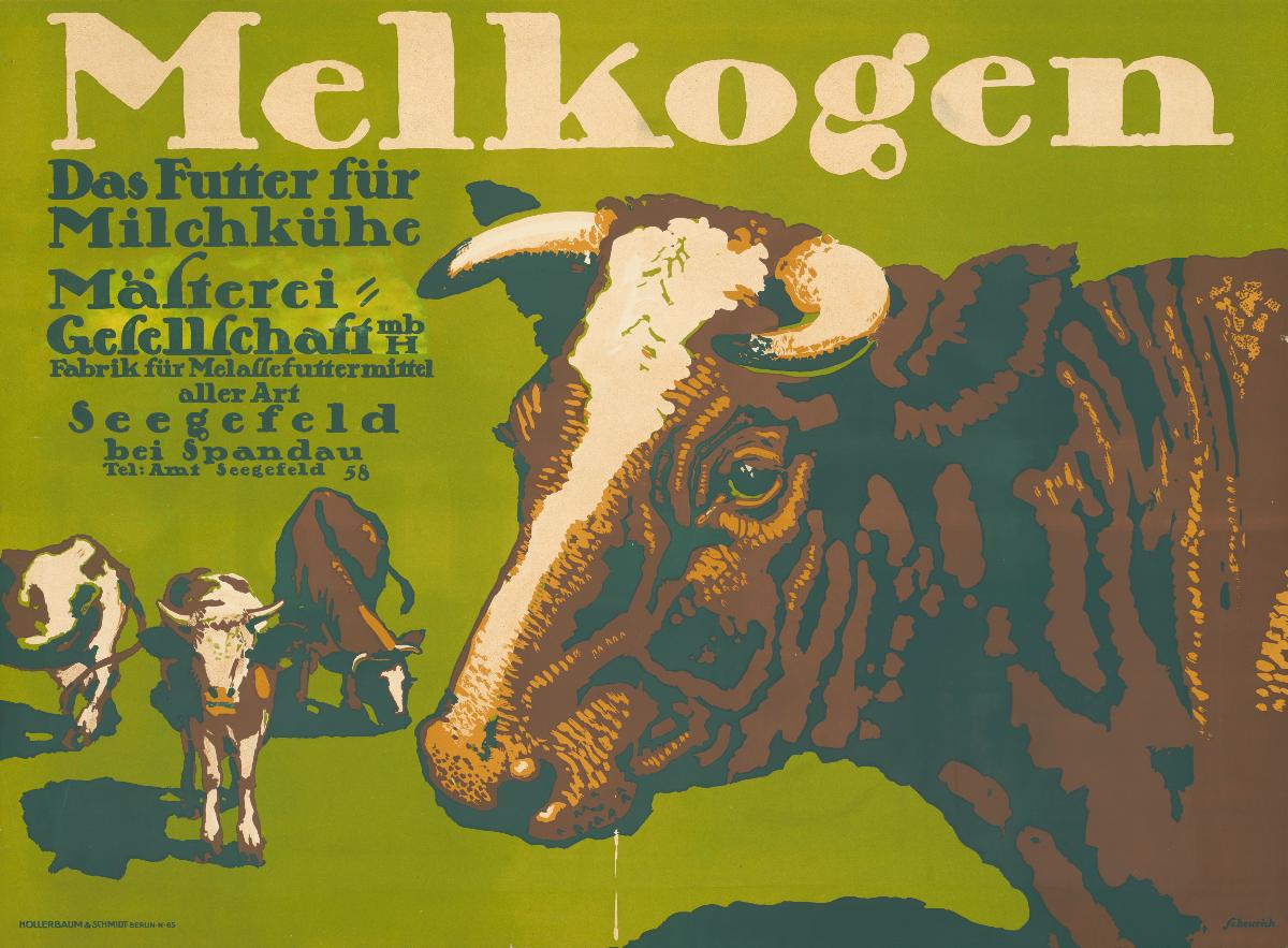 Melkogen, Das Futter für Milchkühe, Mästerei Gesellschaft