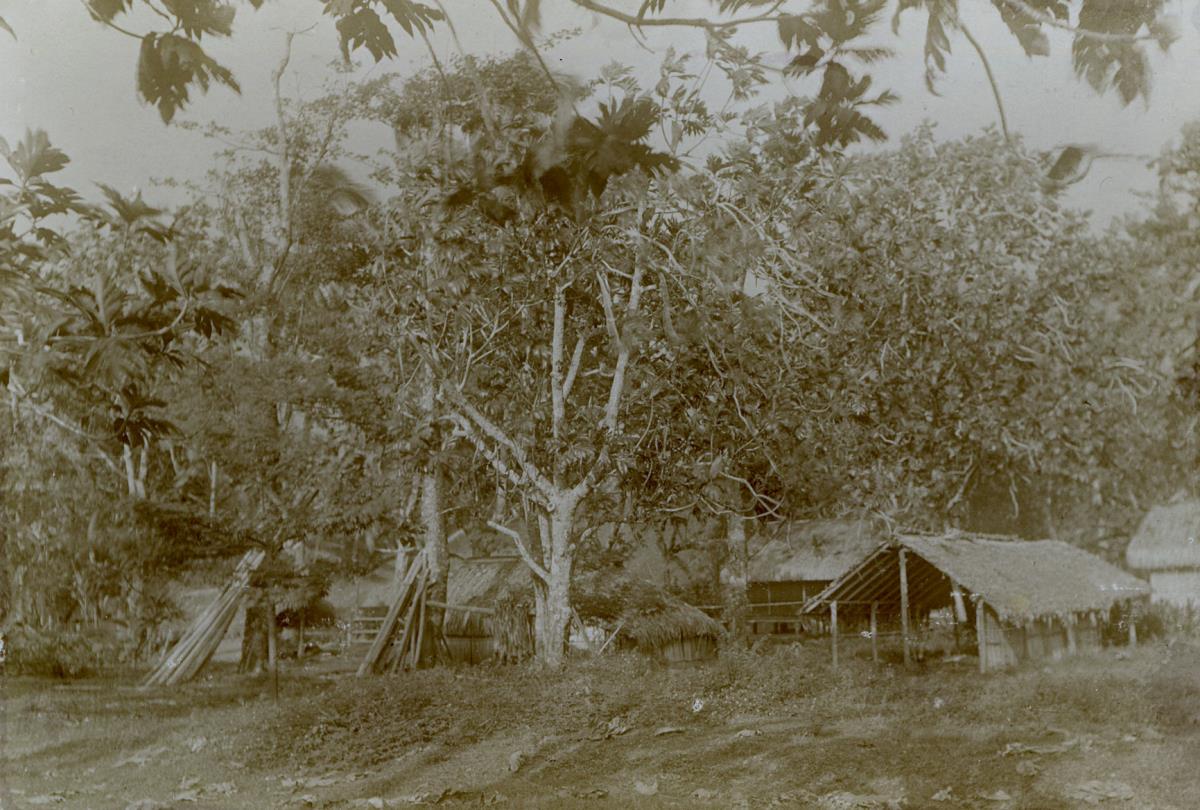 "Tautira. Tahiti"