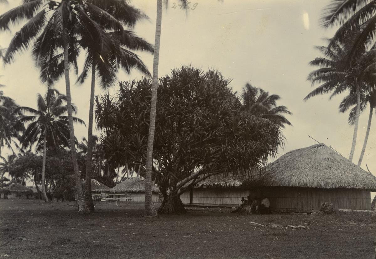 Haus von "Ori a Ori", davor großer Pandanus-Baum, Tahiti