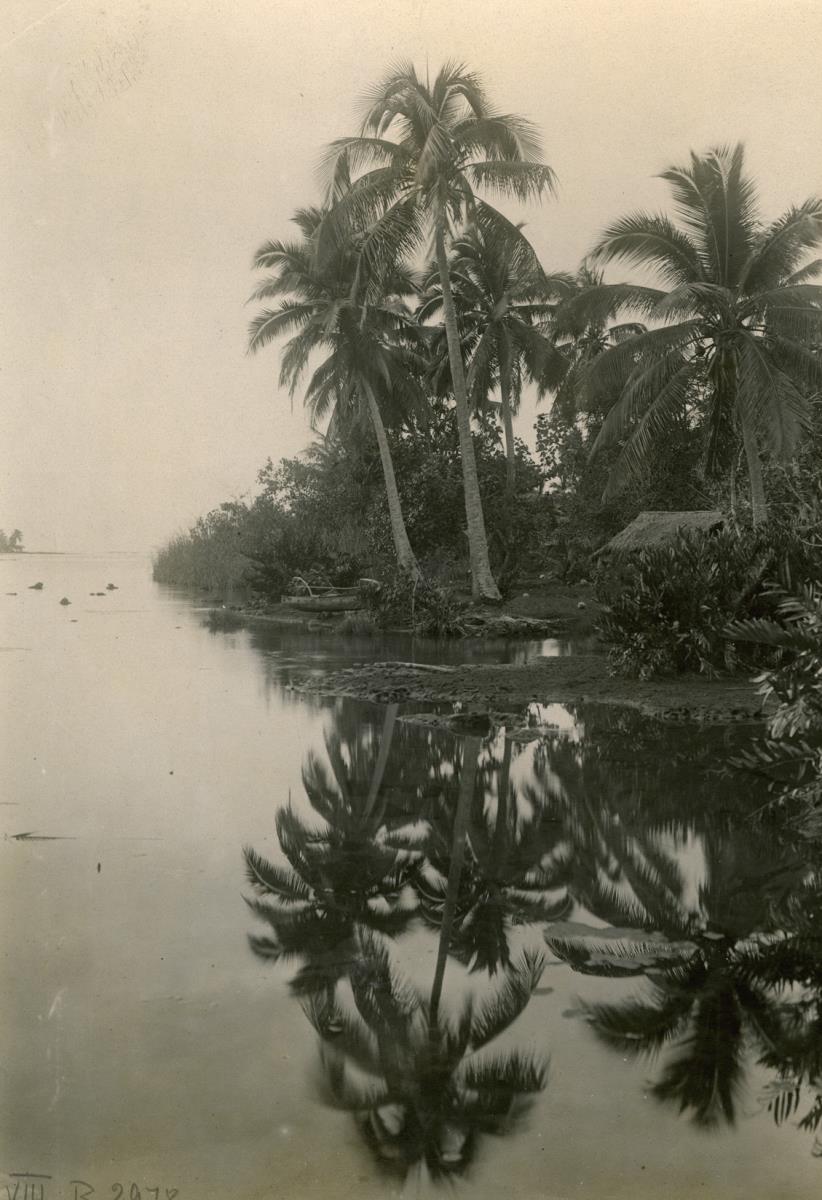 "Landschaft aus der Umgebung von Papeete, Tahiti"