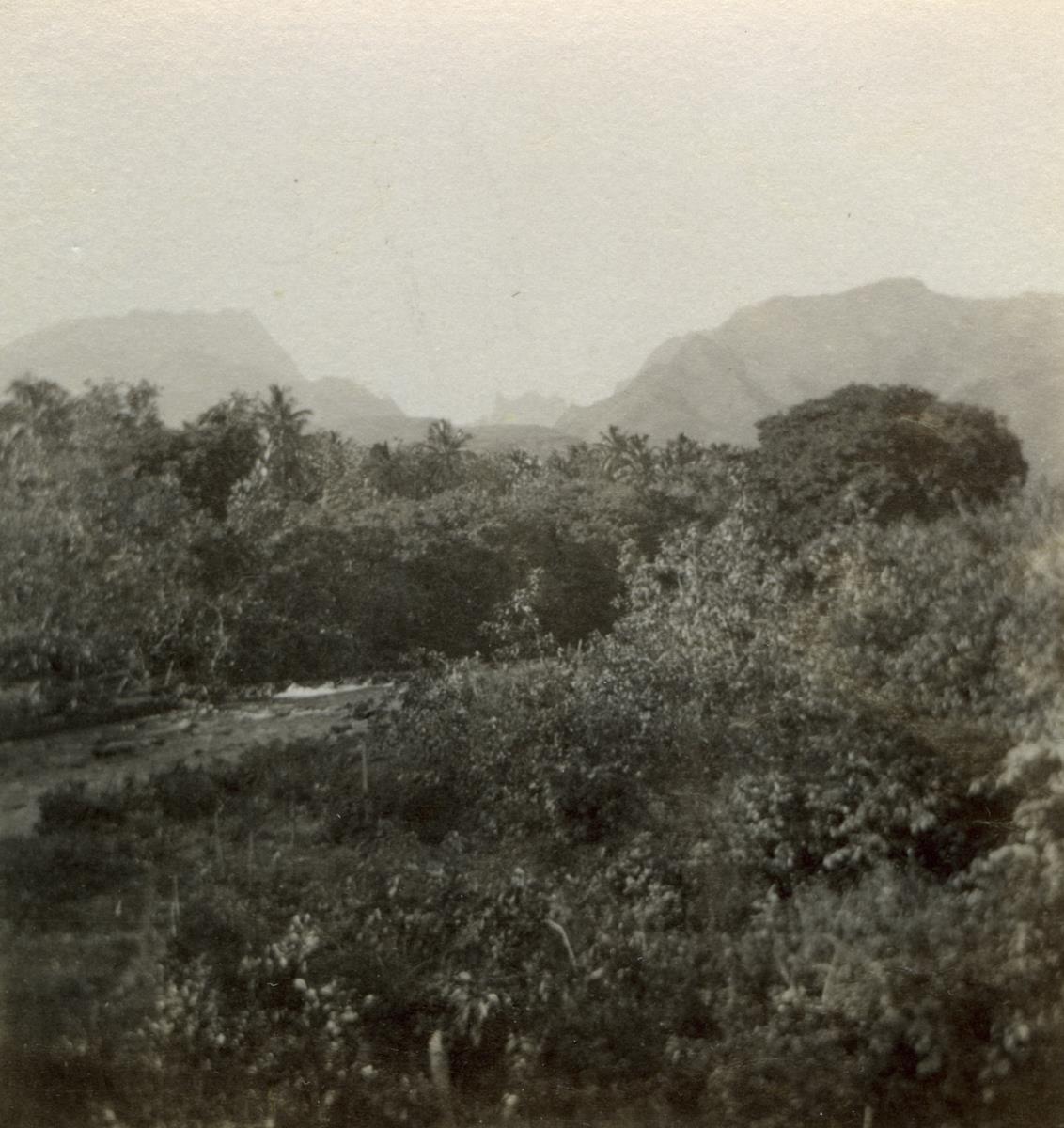 "Tahiti"