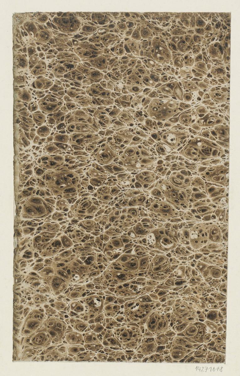 Ringadermarmorpapier