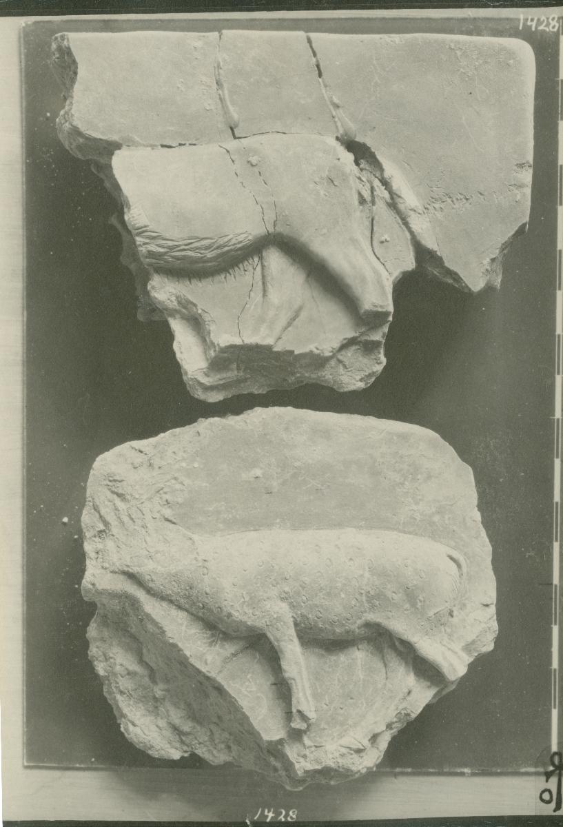 Relief mit schreitendem Hirsch
