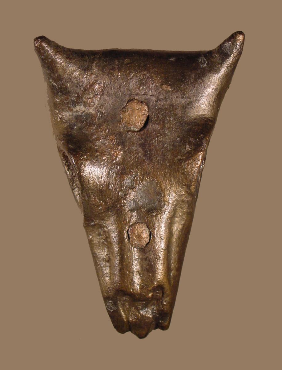 Bucranium