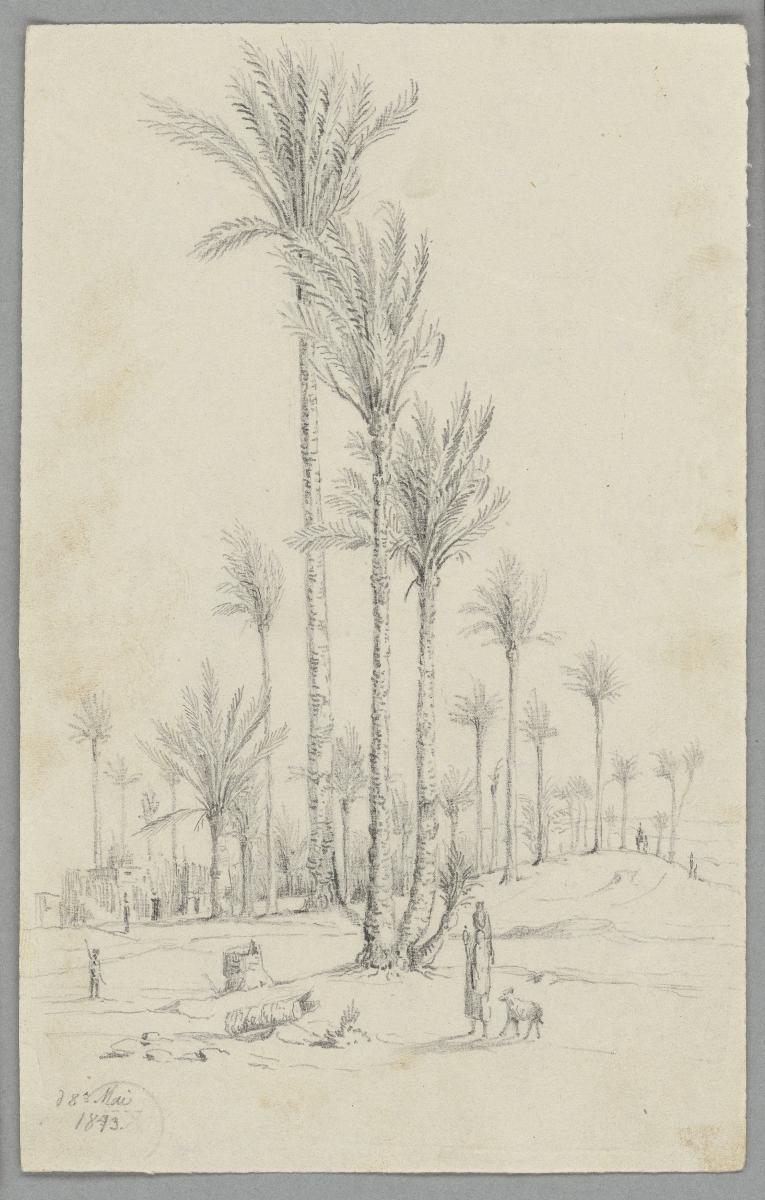 Palmengarten (bei Saqqara?)