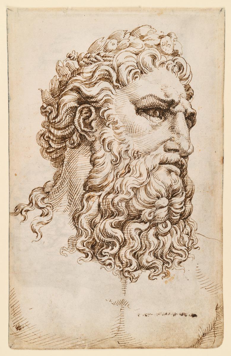 Kopf des vatikanischen "Arno"