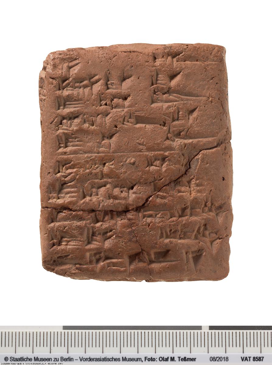 Juristischer Text