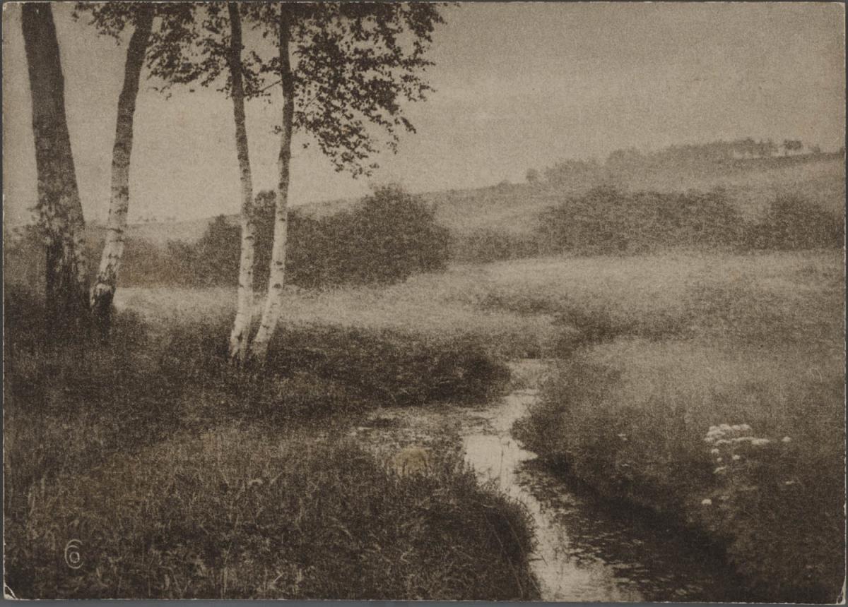 Flußlandschaft
