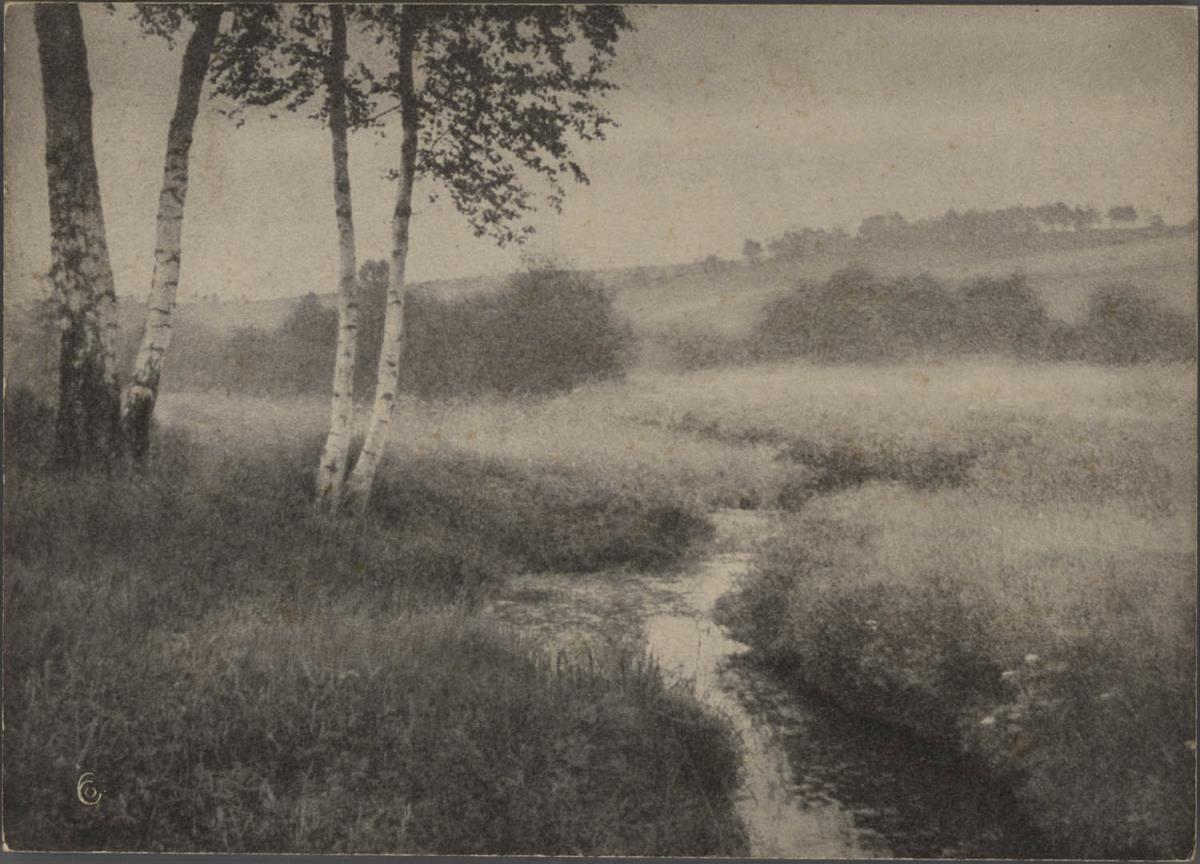 Flußlandschaft mit Birken