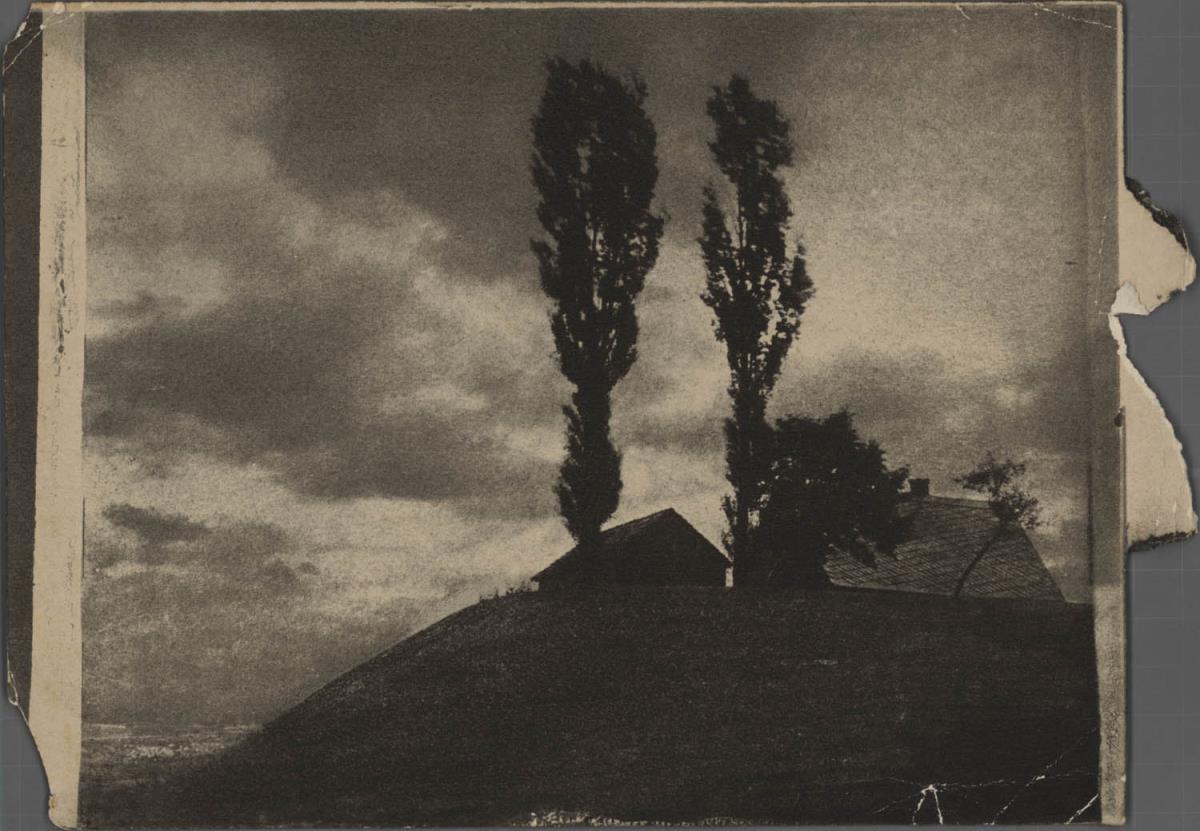 Häuser und Bäume am Ufer