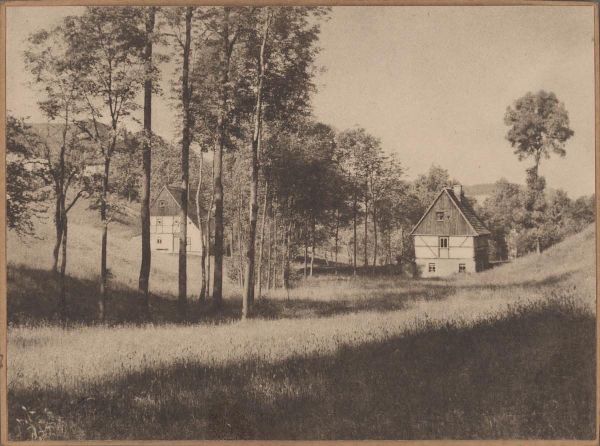 Häuser in Wiesenlandschaft
