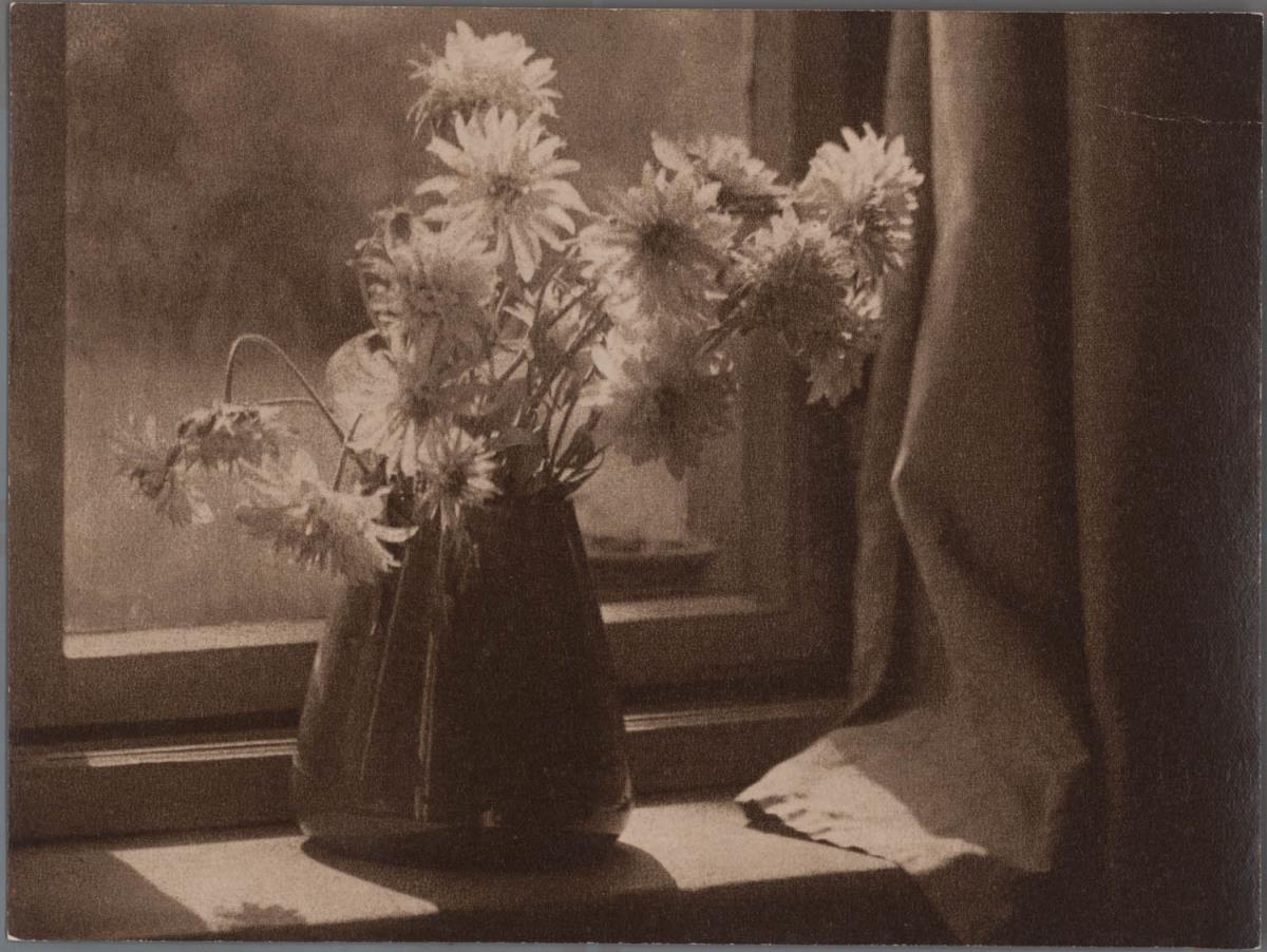 Blumen-Stillleben