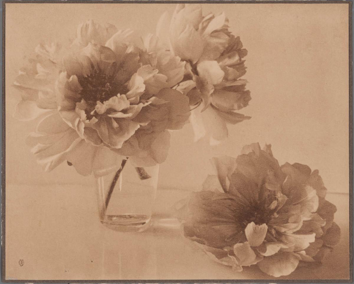 Blumen-Stillleben