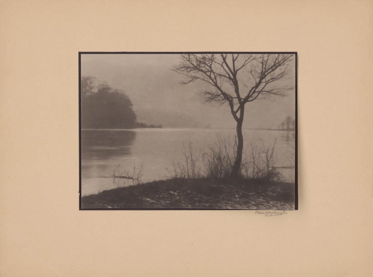 Nebel