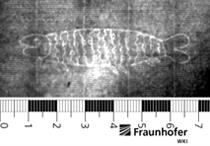 Brief der Oberbaudeputation vom 5. März 1827