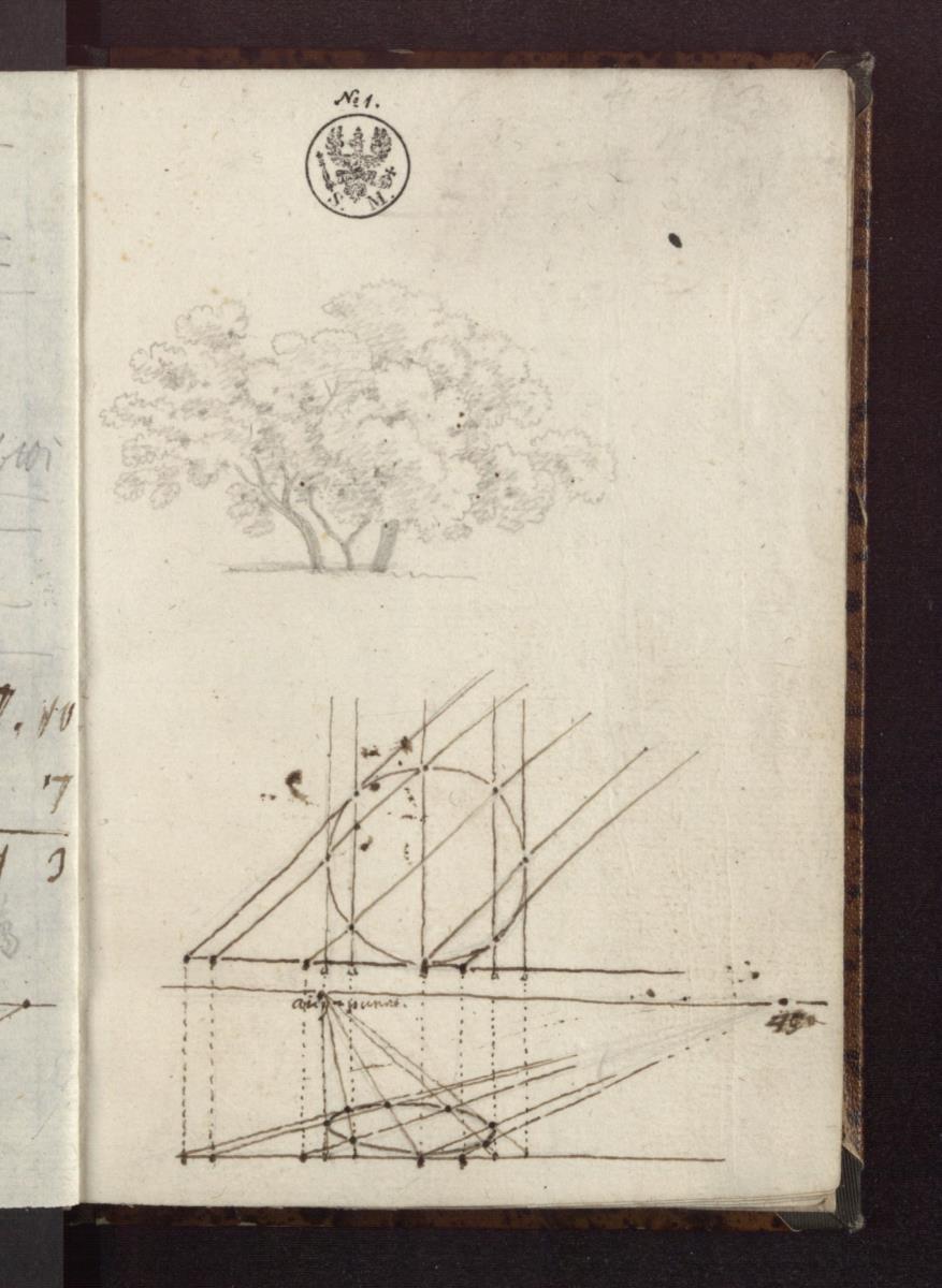 Baumstudie & Perspektivische Zeichnung