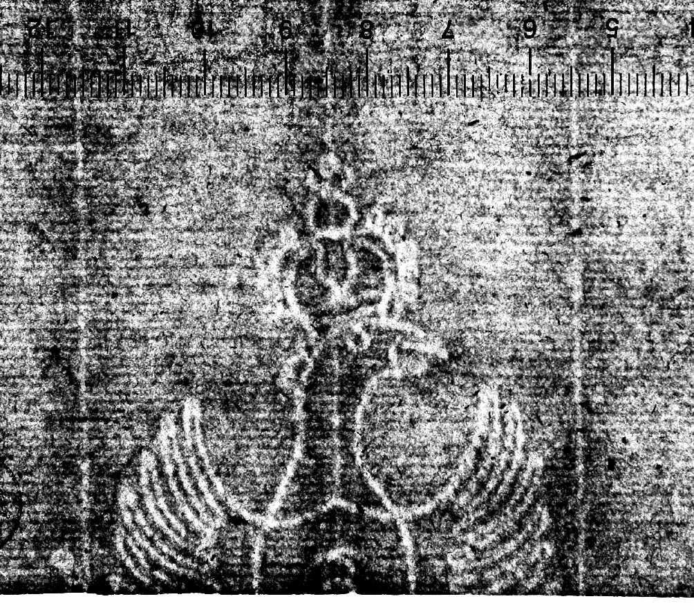 Vier Stühle & Ein Rauchgefäß & Ein Leuchter & Ein Akanthusblatt