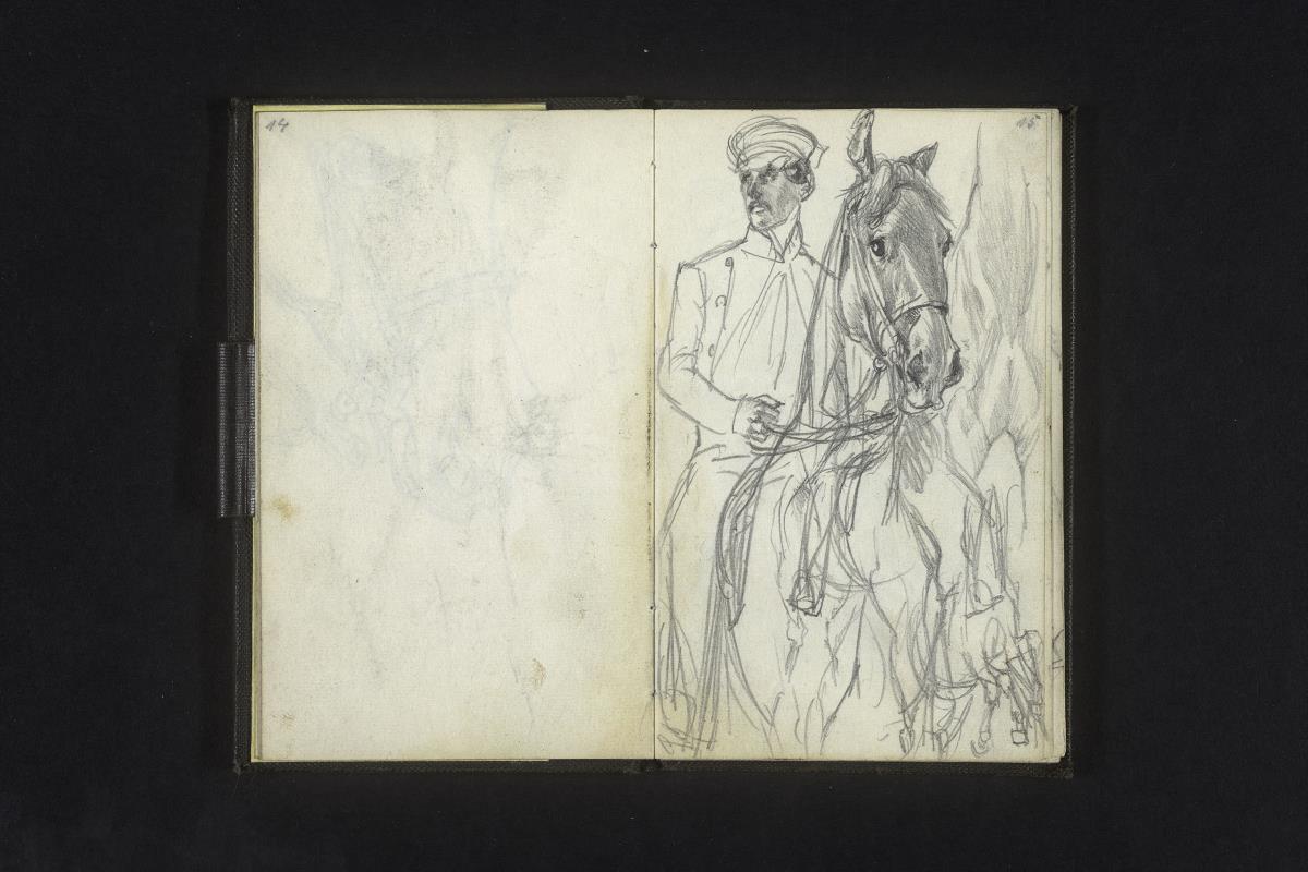 Pferd mit Reiter