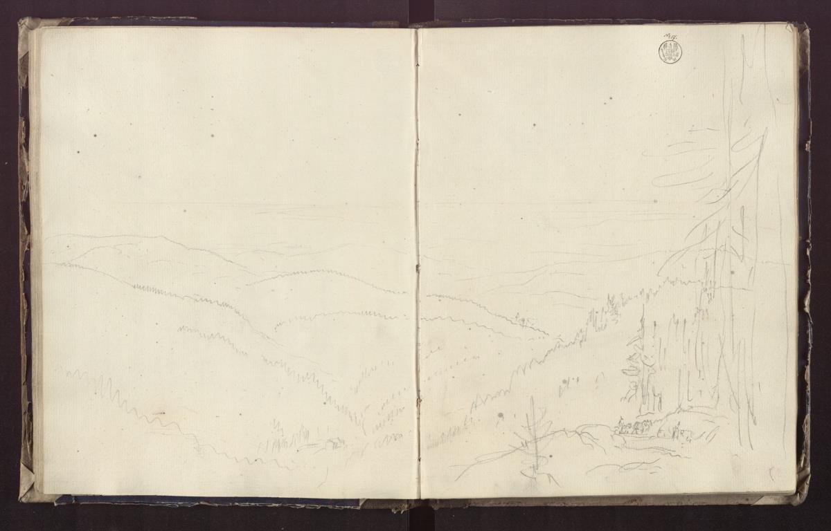 Waldige Berglandschaft (Sauerland?)