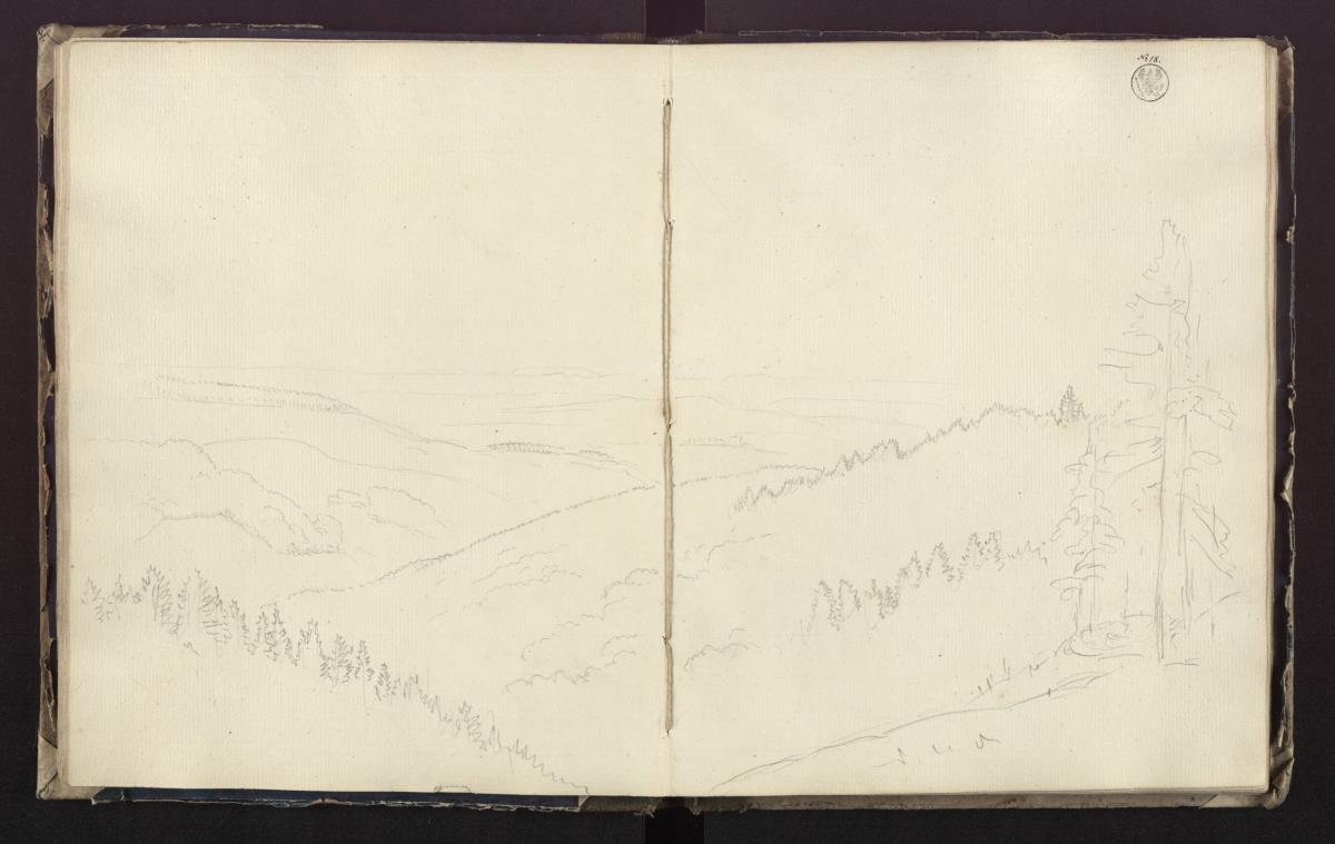 Waldige Berglandschaft (Sauerland?)