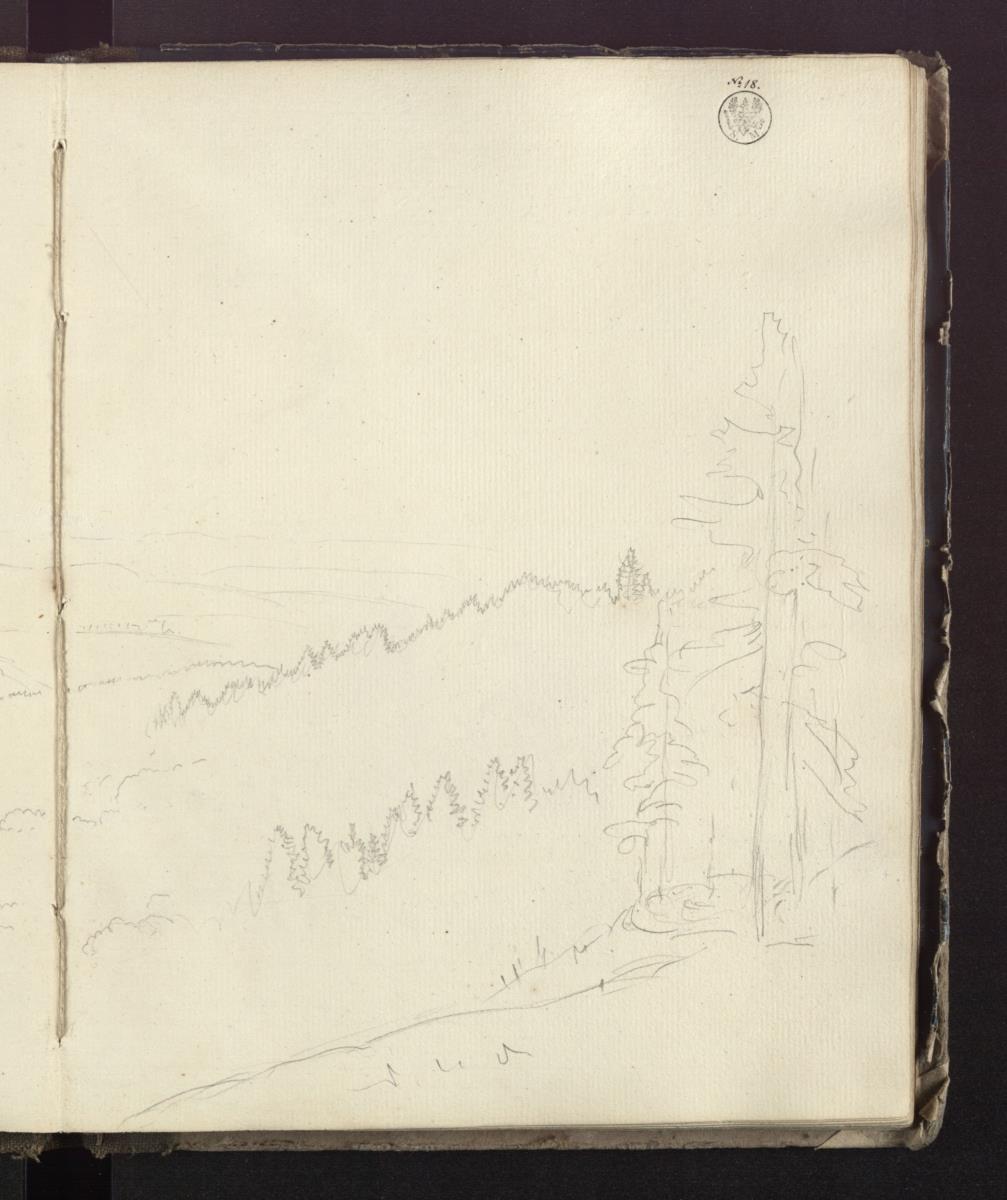 Waldige Berglandschaft (Sauerland?)