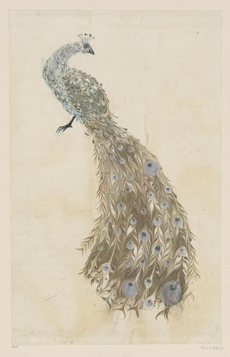 Marmoriertes Vorsatzpapier (Pfau)
