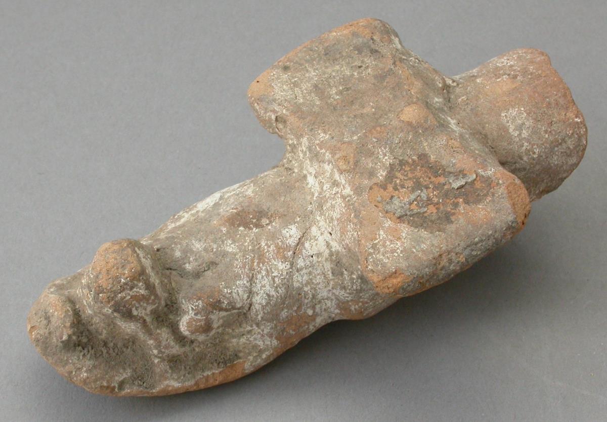 Schlangenkopf