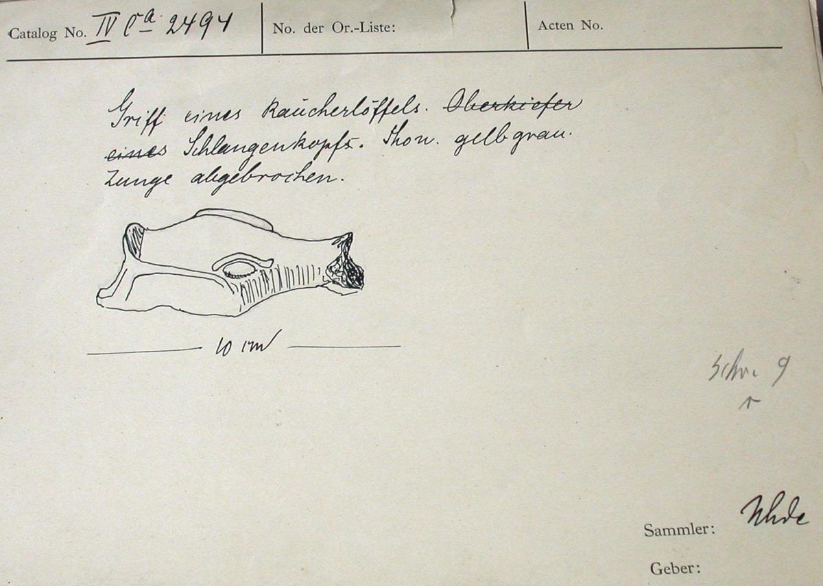 "Schlangenkopf"