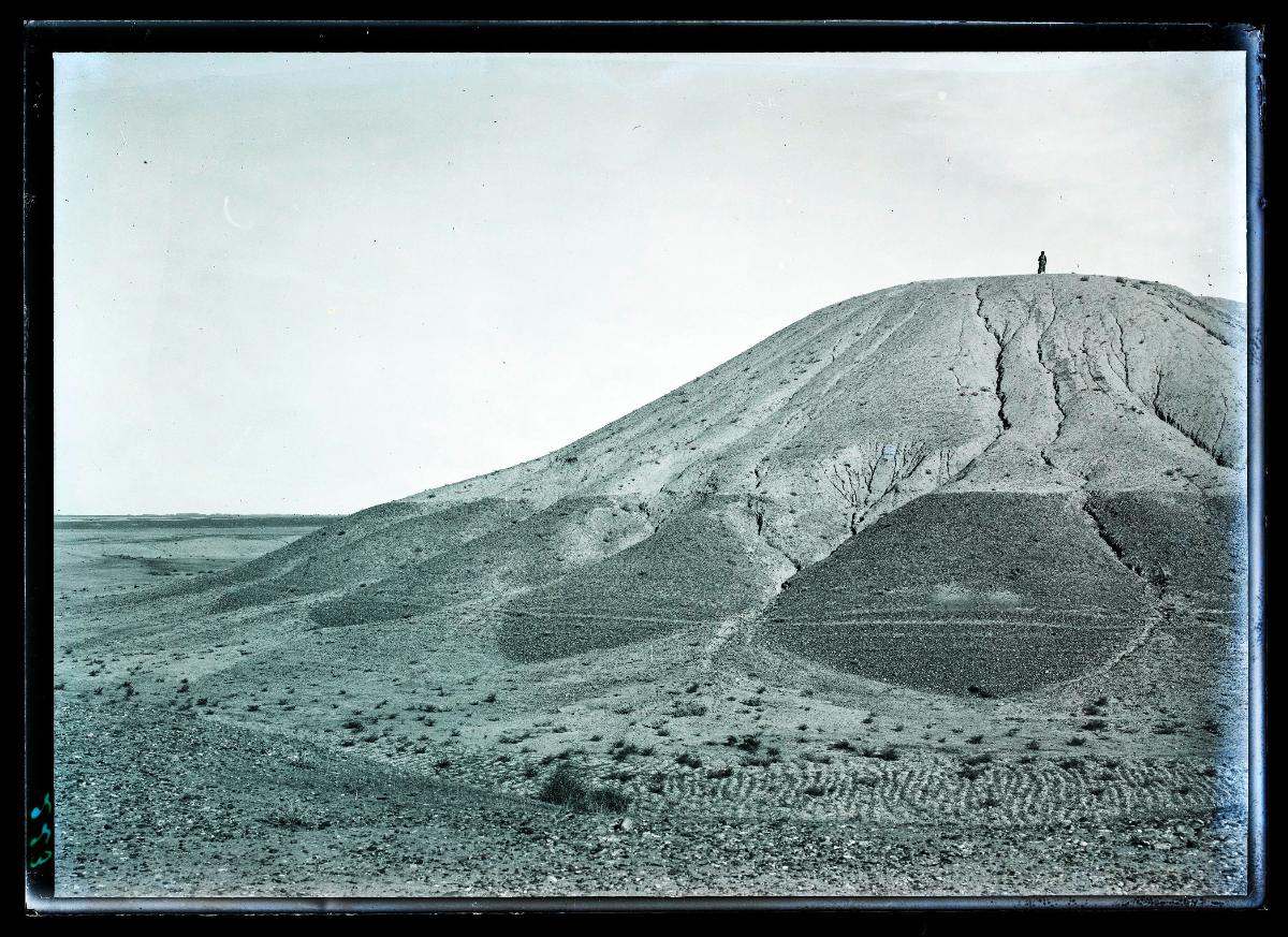 Tall al-ʿAliq, Panorma