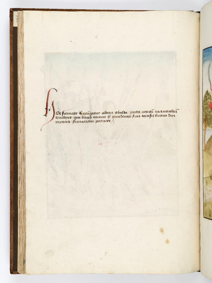 Einzug der Johanna von Kastilien in Brüssel am 9. Dezember 1496: Kommentar zu Zwei Reihen rot und blau gekleideter Fackelträger